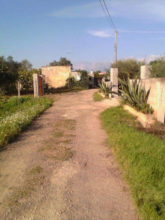 أليزيو La Casa In Campagna Di Ottavia المظهر الخارجي الصورة